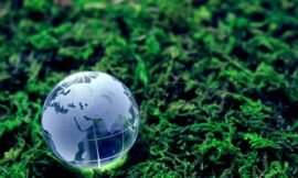 Cómo reducir el impacto ambiental al preparar café expreso