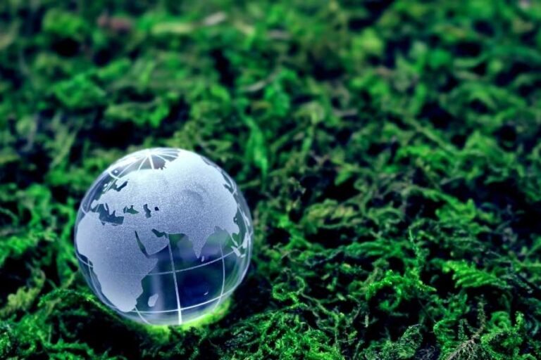 Lee más sobre el artículo Cómo reducir el impacto ambiental al preparar café expreso