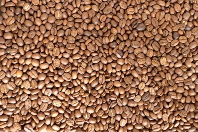 Lee más sobre el artículo Café de origen: qué lo hace especial