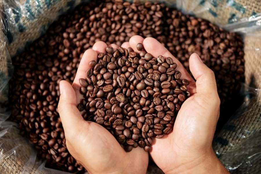 Errores al elegir granos de café para expreso