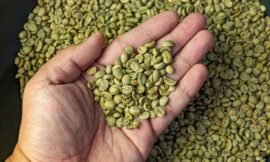 Café verde: usos, beneficios y mitos