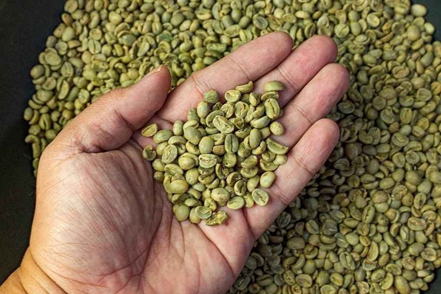 café verde: usos, beneficios y mitos